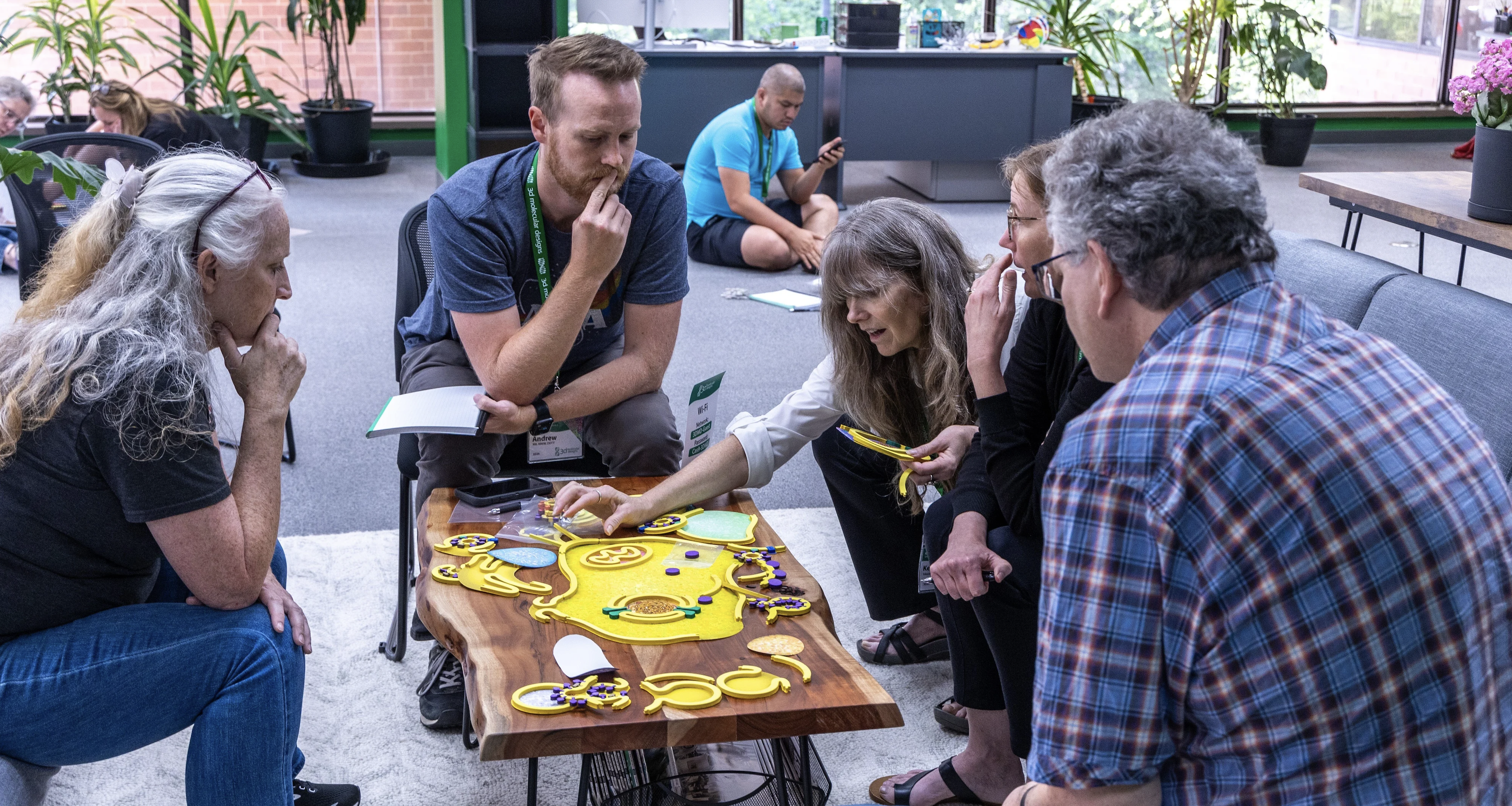 3D Molecular Designs Workshops