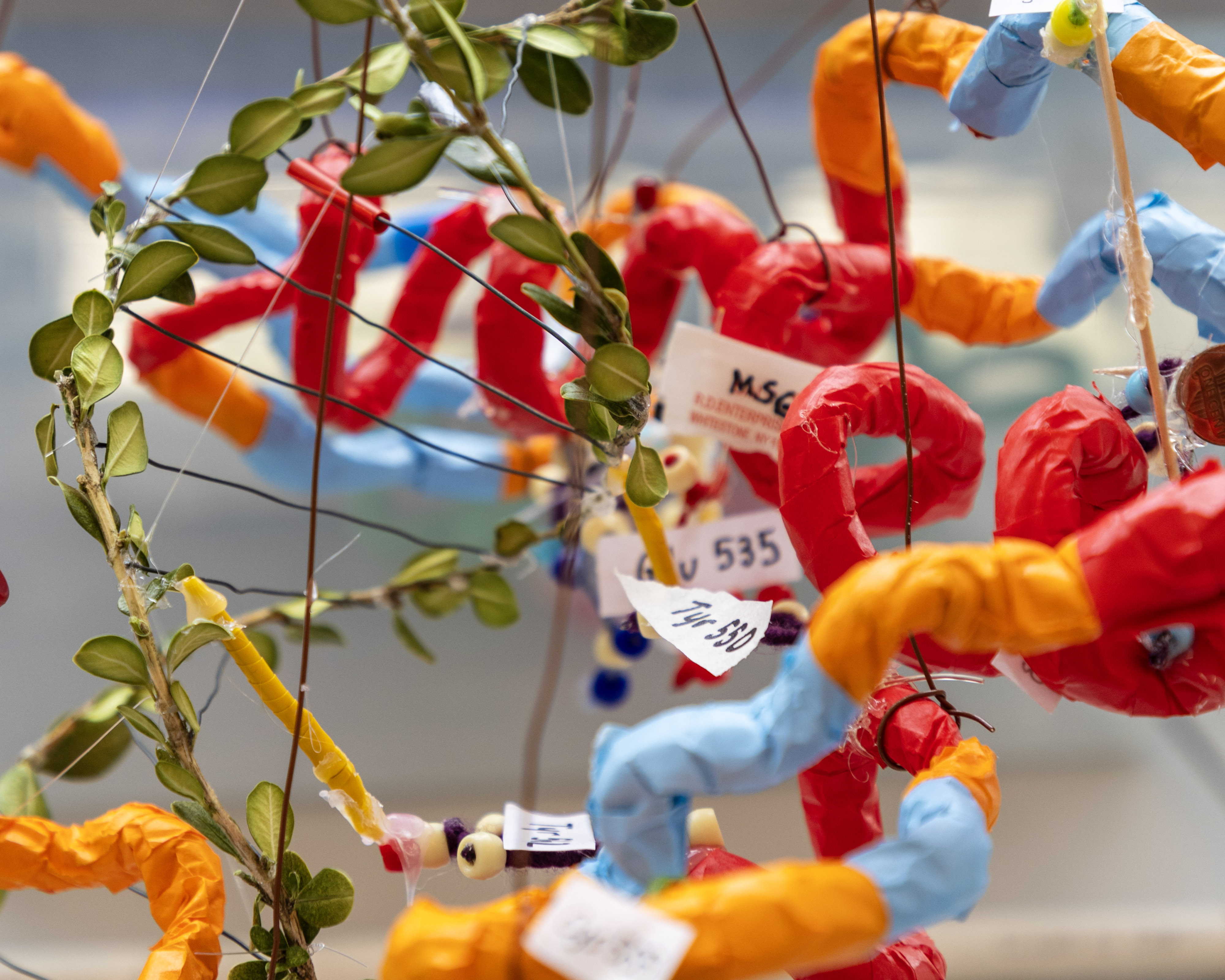 Protein Modeling at 2025 National Tournament 