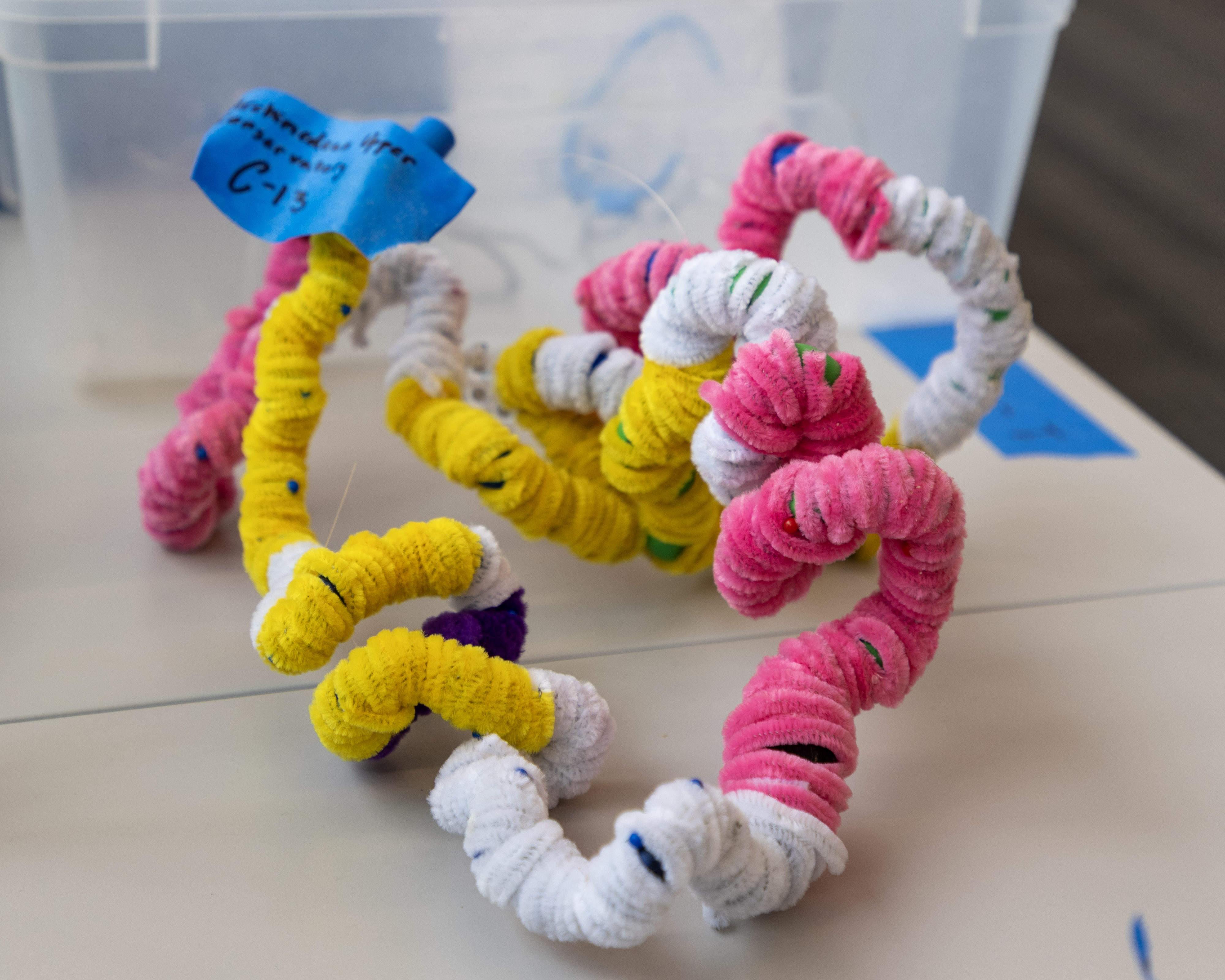 Protein Modeling at 2025 National Tournament 