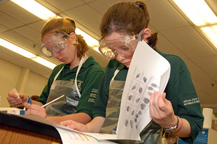 Science Olympiad Forensics Powders Chart