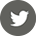twitter icon