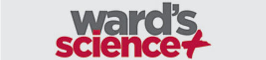 Ward's Science